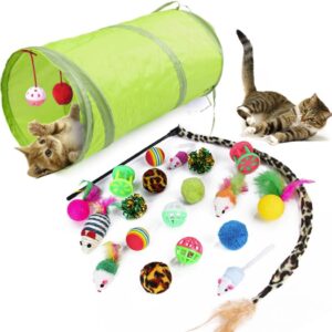 Wefine Cat Toys 21Pcs