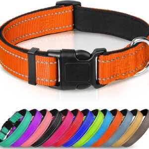 Joytale Dog Collar, Reflective Padded Neoprene Pet Collar